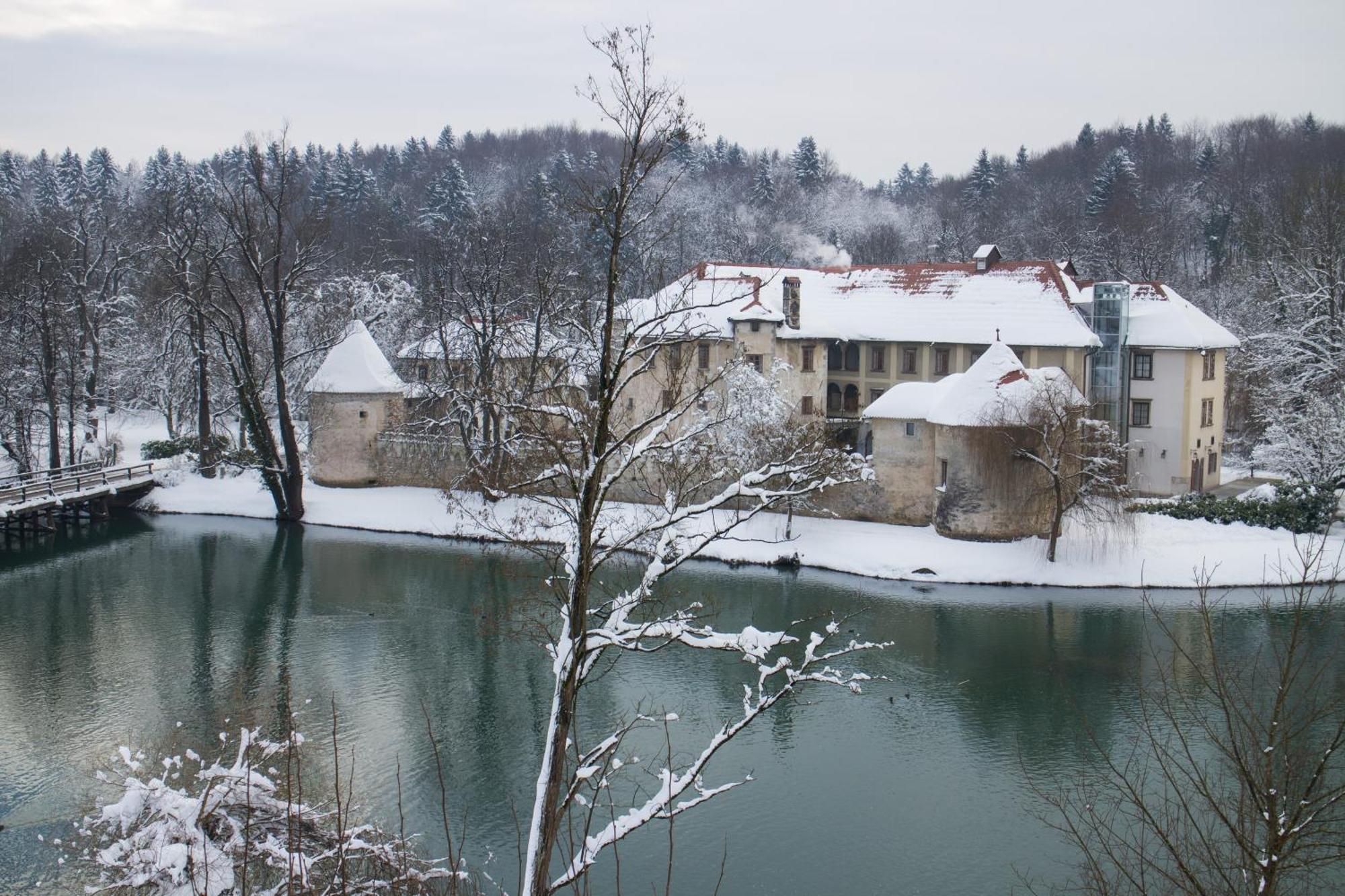 Hotel Grad Otocec - Relais Chateaux Otočec Quarto foto